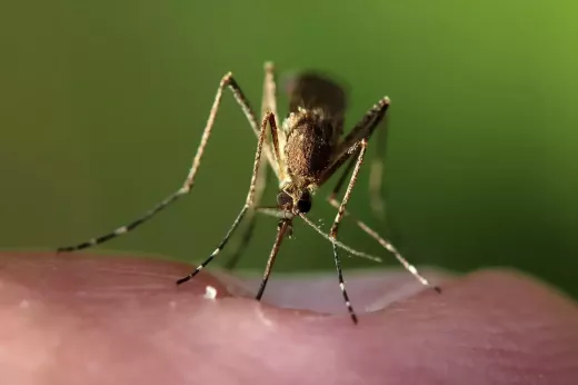 No seas demasiado duro contigo mismo